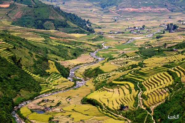 Những d&ograve;ng suối đẹp duy&ecirc;n d&aacute;ng ở T&acirc;y Bắc